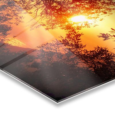 BASIC HDX  ACRILIC PRINTNG